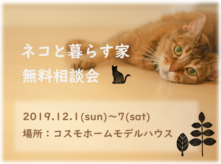 コスモホームの開催終了 ネコと暮らす家 無料相談会 熊本の自然素材住宅